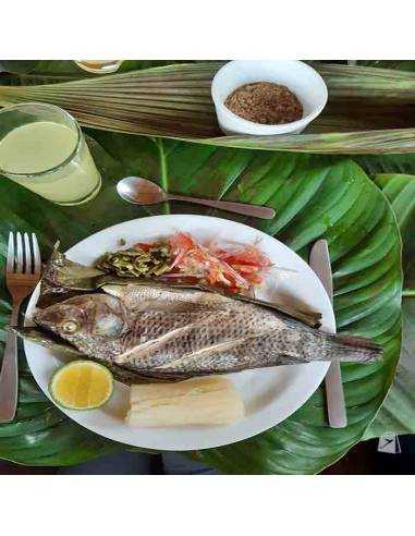 Almuerzo Yacuma Amazonía