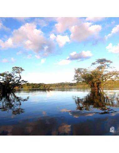 Selva Amazónica Ecuatoriana