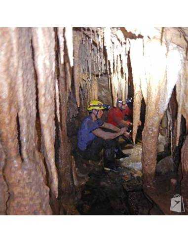 La Cueva de los Tayos en Amazonía