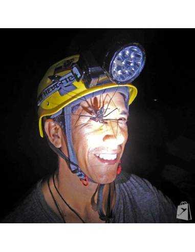 Cueva de los Tayos in Ecuador