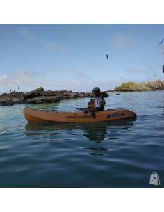 Iguana Santa Cruz Galápagos 2