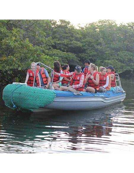 Black turtle Galápagos