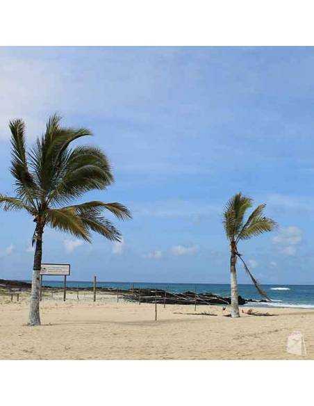 Vive Santa Cruz en vacaciones