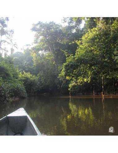 Lancha Cuyabeno Lodge