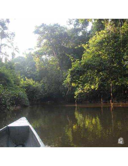 Lancha Cuyabeno Lodge