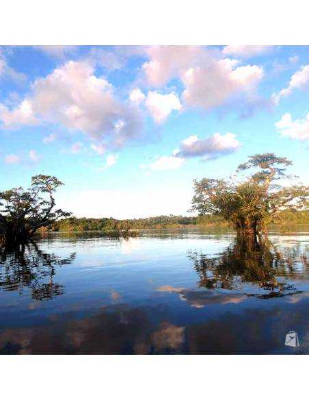 Selva Amazónica Ecuatoriana