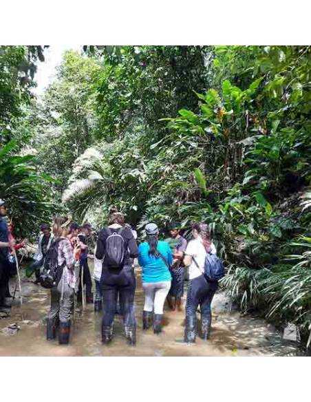 Walking in Amazonía Yacuma
